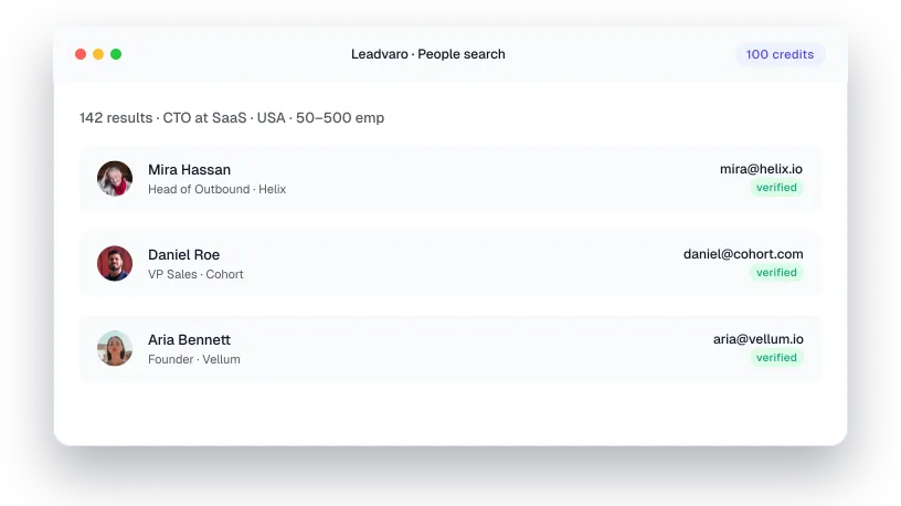 Leadvaro People Search Platform UI